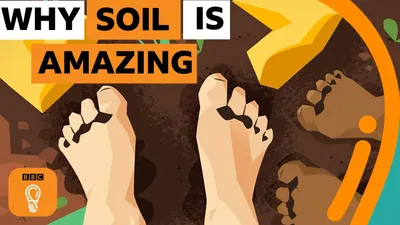 11 - Why is soil amazing?